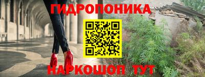шишки Рязань