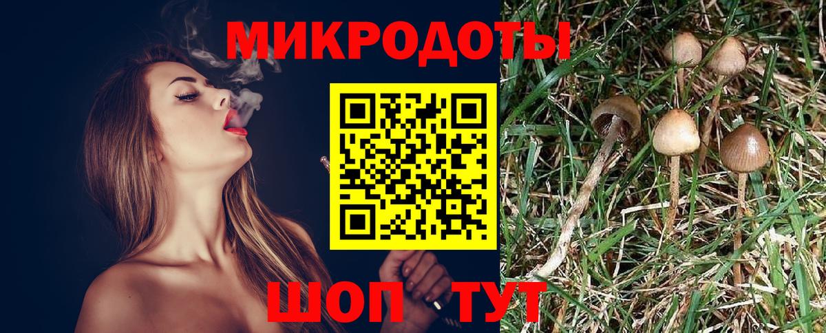 Псилоцибиновые грибы GOLDEN TEACHER Прохладный