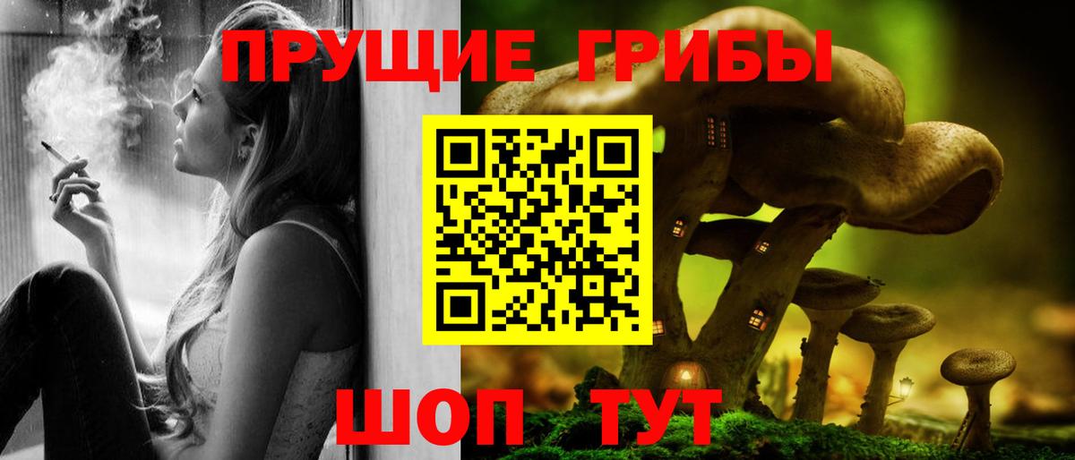 Галлюциногенные грибы прущие грибы  Вход с VPN  Прохладный  Псилоцибиновые грибы Psilocybe 