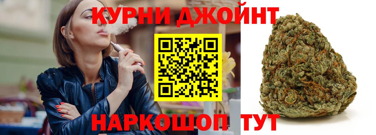 Каннабис план  Конопля MAZAR  Прохладный  Вход с VPN 